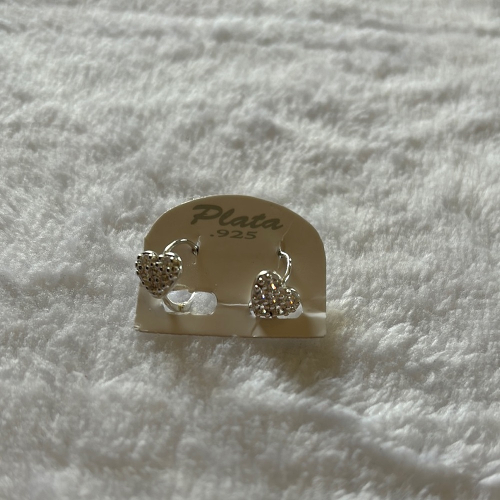 Chic Silver Hoop Earrings